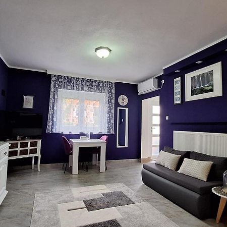 Studio Apartman Marta 科雷尼察 外观 照片